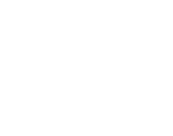 Peter Paschke IT